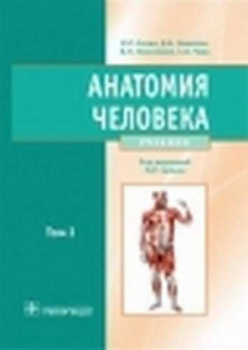 Анатомия человека учебник онлайн