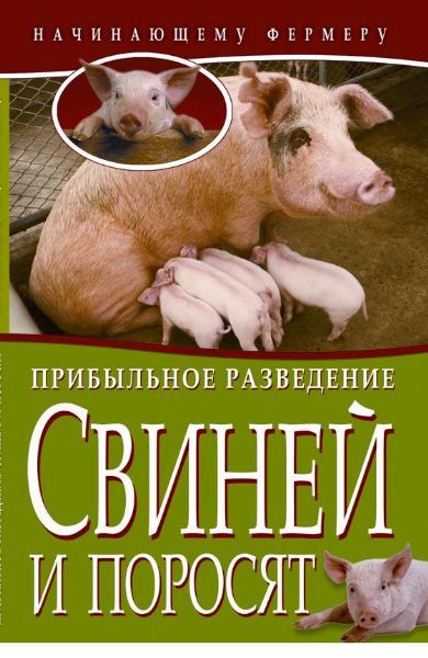 Поросенок книга. Свинарник книга. Поросенок с книгой. Развод поросят. Книга свиньи поросята.