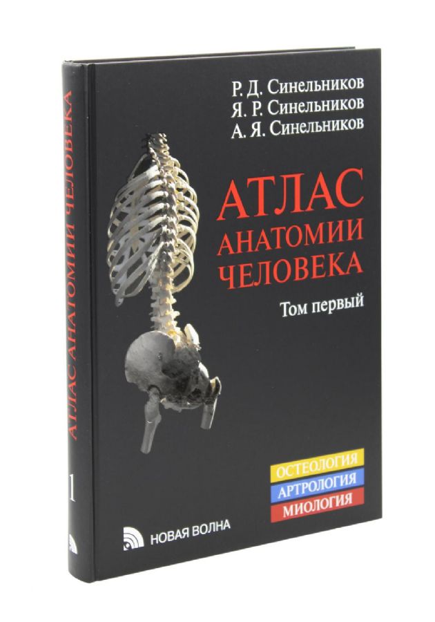 Атлас анатомия человека том 2. Атлас анатомии человека Синельников. Карманный атлас анатомии человека Синельников. Анатомия Синельников 4 том. Атлас Синельникова 1 том.